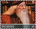 cos-dumbledore05