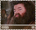 cos-hagrid04