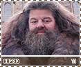 cos-hagrid11