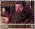 cos-hagrid13