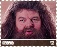 cos-hagrid15