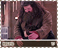 cos-hagrid17