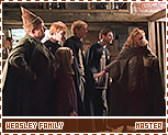 cos-weasleyfamilymaster