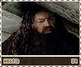 dh-hagrid09