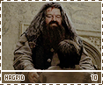 dh-hagrid10