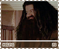 dh-hagrid20