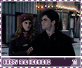 dh-harryhermione11