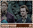 dh-weasleyfamily04