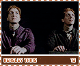 dh-weasleytwins13