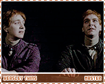 dh-weasleytwinsmaster