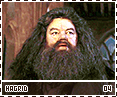 gof-hagrid04