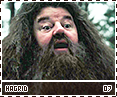 gof-hagrid07