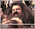 gof-hagrid10