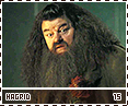 gof-hagrid15