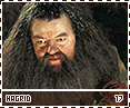 gof-hagrid17