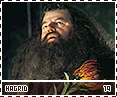 gof-hagrid19