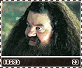 gof-hagrid20