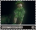 gof-quidditchworldcup08