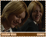 gof-weasleytwinsmaster