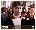 hbp-harry13