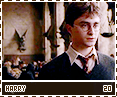 hbp-harry20