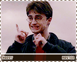 hbp-harrymaster