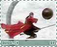 hbp-quidditch03