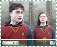 hbp-quidditch06