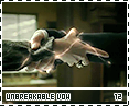 hbp-unbreakablevow12