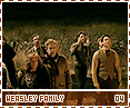 hbp-weasleyfamily04