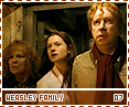 hbp-weasleyfamily07