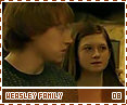 hbp-weasleyfamily08