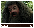 poa-hagrid18