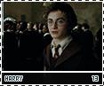 poa-harry13