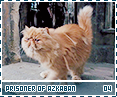 prisonerofazkaban04