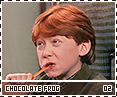 ps-chocolatefrog02