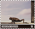 ps-chocolatefrog11