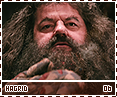 ps-hagrid06