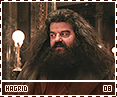 ps-hagrid08