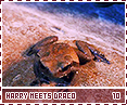 ps-harrymeetsdraco10