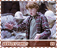 ps-weasleyfamily05